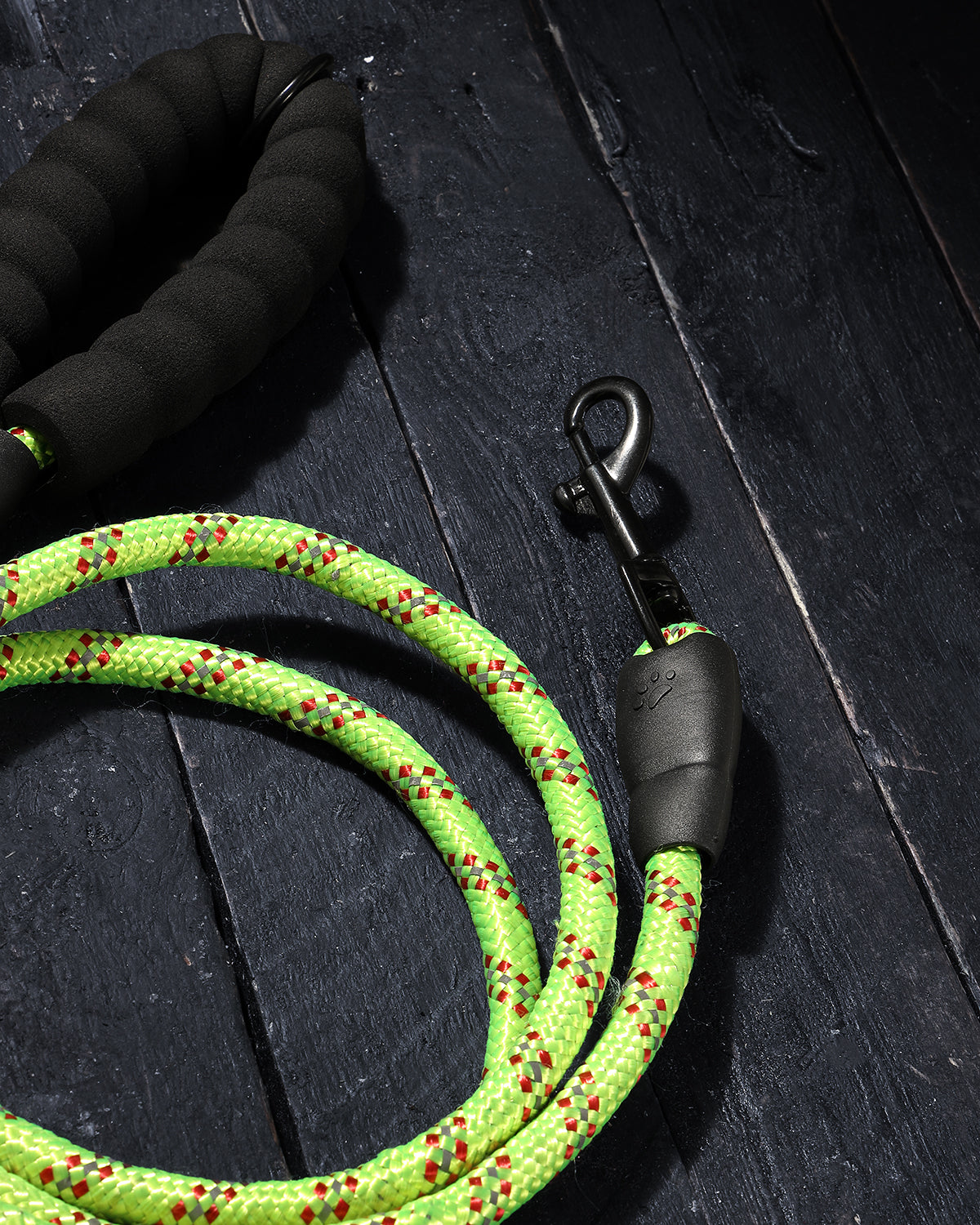 Rope Leash – Neon Volt
