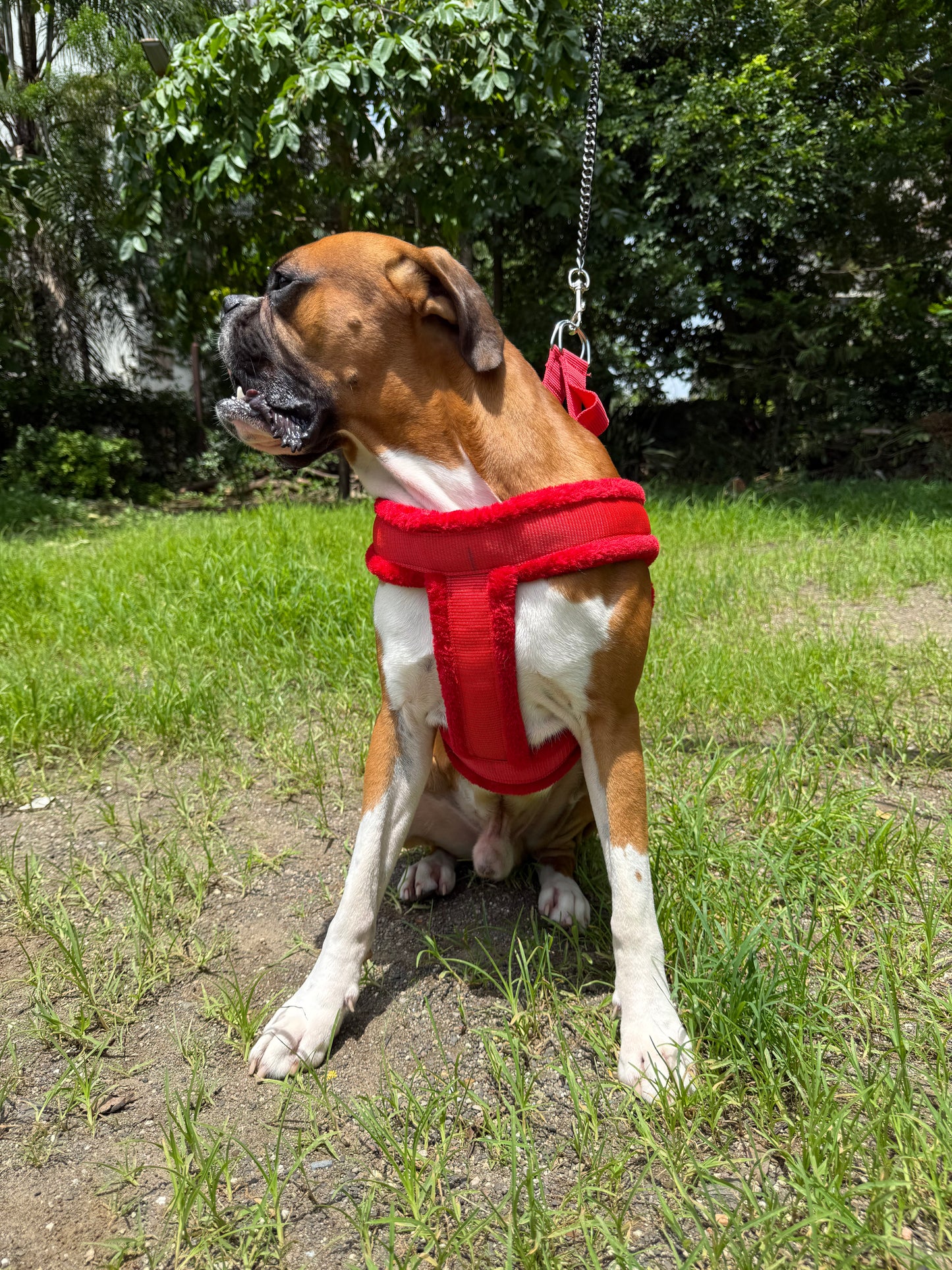 Fur Harness - Red