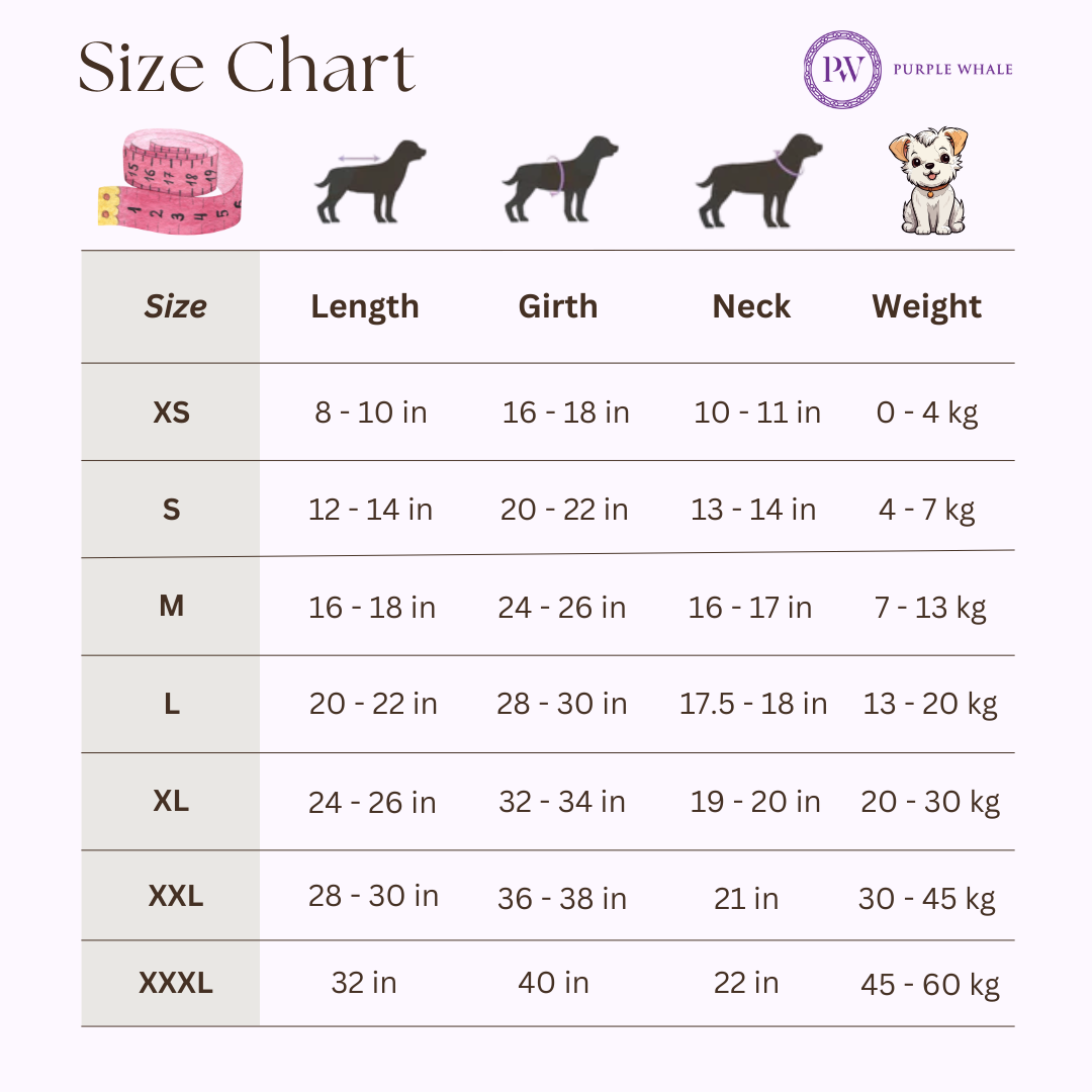 Full-Body Raincoat - Space Grey