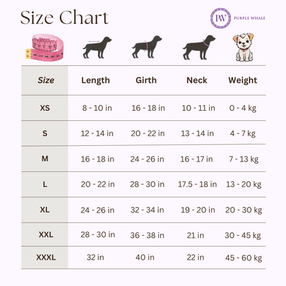 Full-Body Raincoat - Space Grey