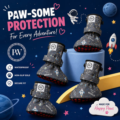 Shoes - Space Grey
